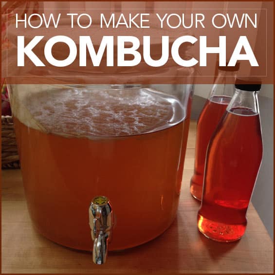 How To Make Your Own Kombucha
