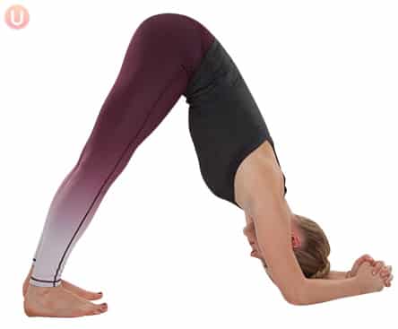 Yoga dolphin pose for upper body strength.