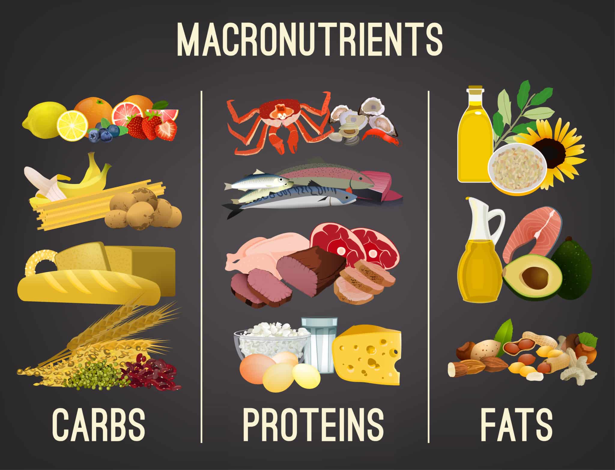 Graphic of macronutrients with images of carbs, proteins and fats