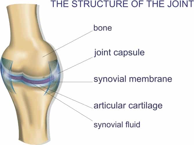 Graphic of joints