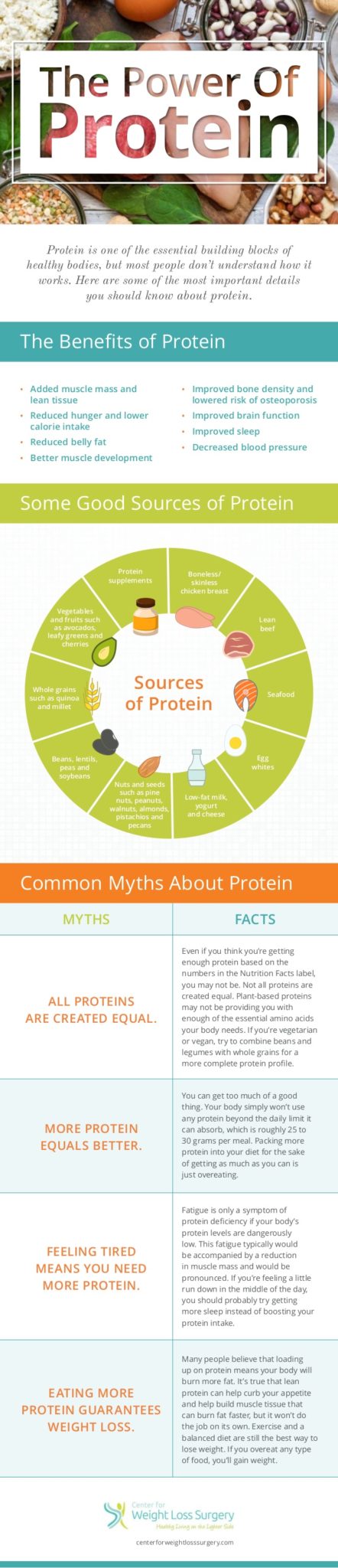Infographic of protein information and sources of protein