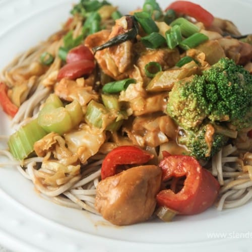 Healthy Peanut Noodles with Chicken and vegetables on top