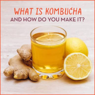 What is kombucha? Learn the benefits of this beverage.