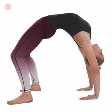 Chloe Freytag demonstrating wheel pose in a black tank top and yoga pants