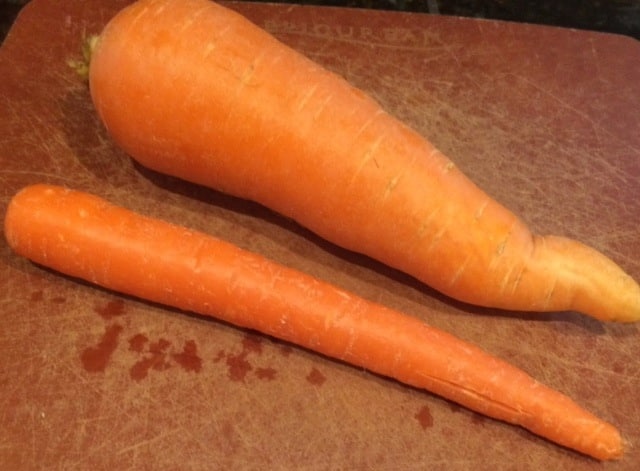 A typical carrot vs. a large carrot that will work in your spiralizer.