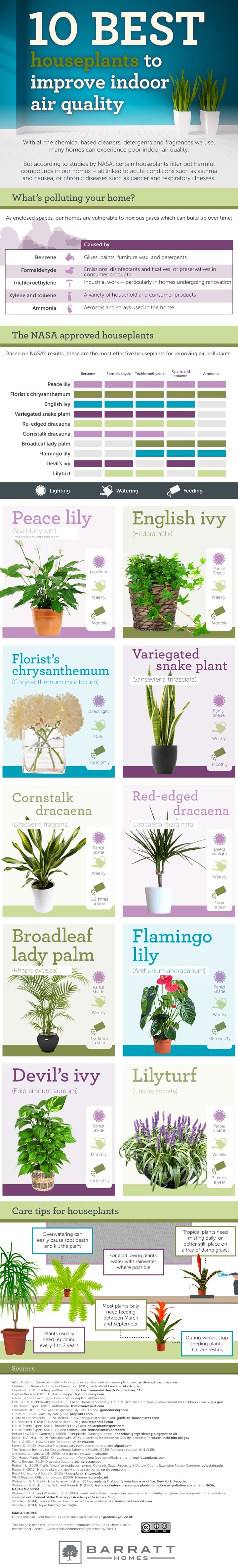 10 Best Houseplants To Improve Air Quality