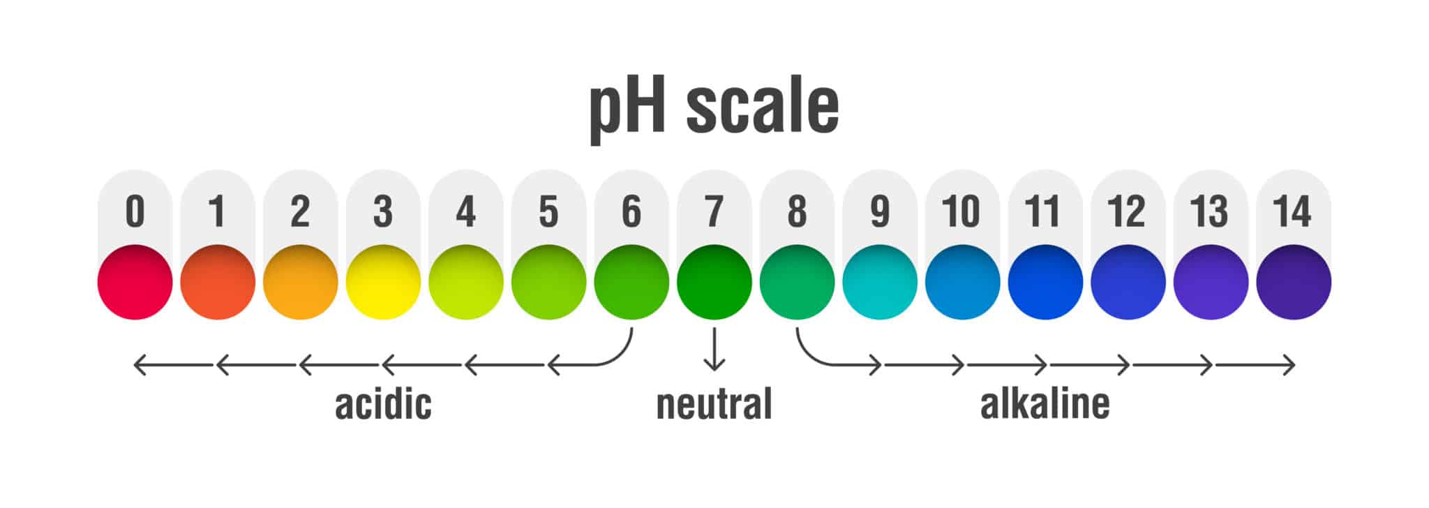 pH sacle with color dots and numbered scale