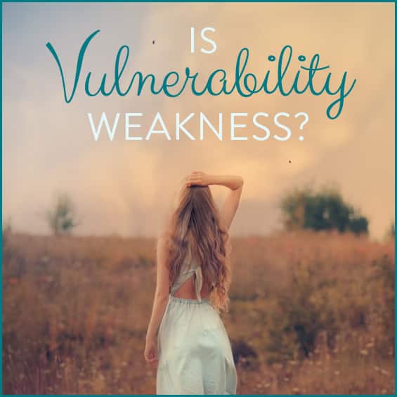 What Is Vulnerability