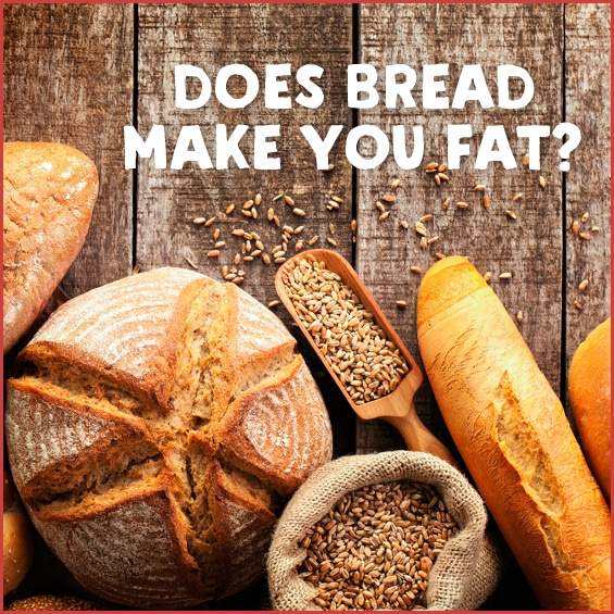 Does Bread Make You Fat 