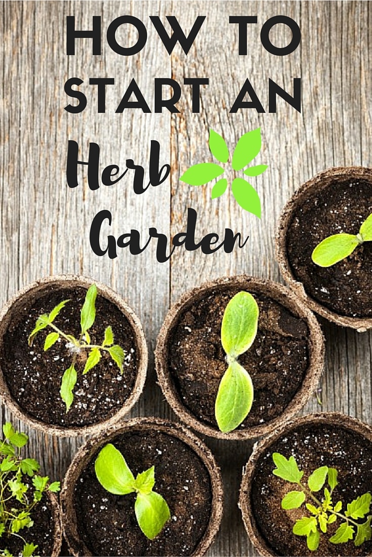 How To Start An Herb Garden - Get Healthy U