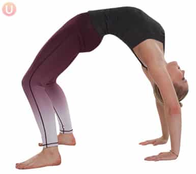 Yoga_Wheel-Pose_Exercise