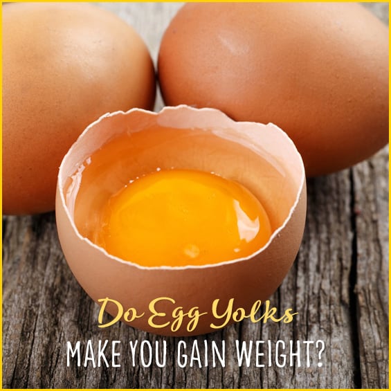 Egg Yolks Fat 119