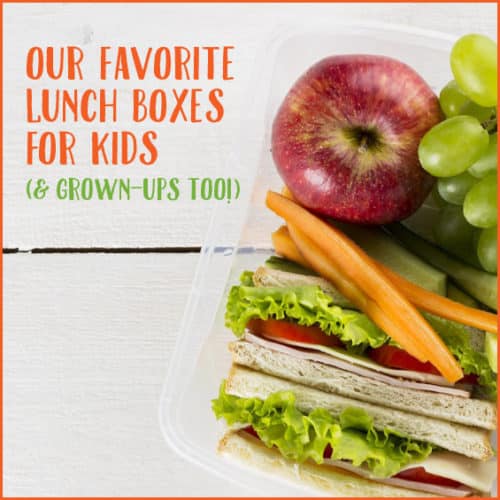 Check out these awesome lunch boxes for back-to-school!