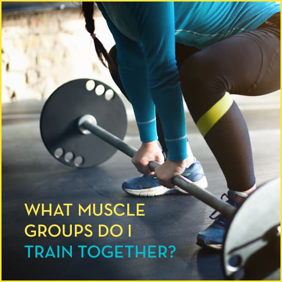 If you've ever wondered which muscle groups to train together, this article will give you the answer.
