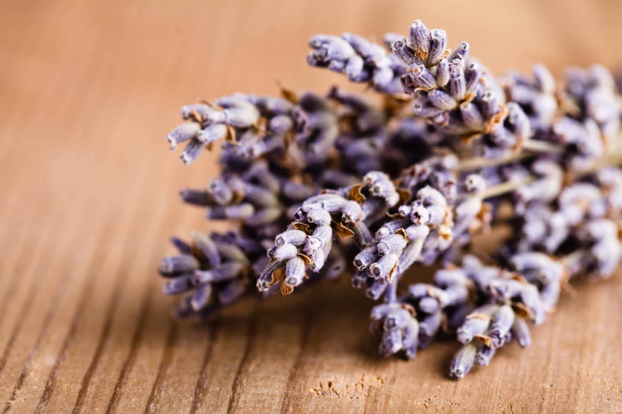Lavender can reduce anxiety.