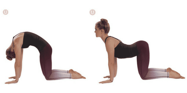 Use cat cow pose for digestive health