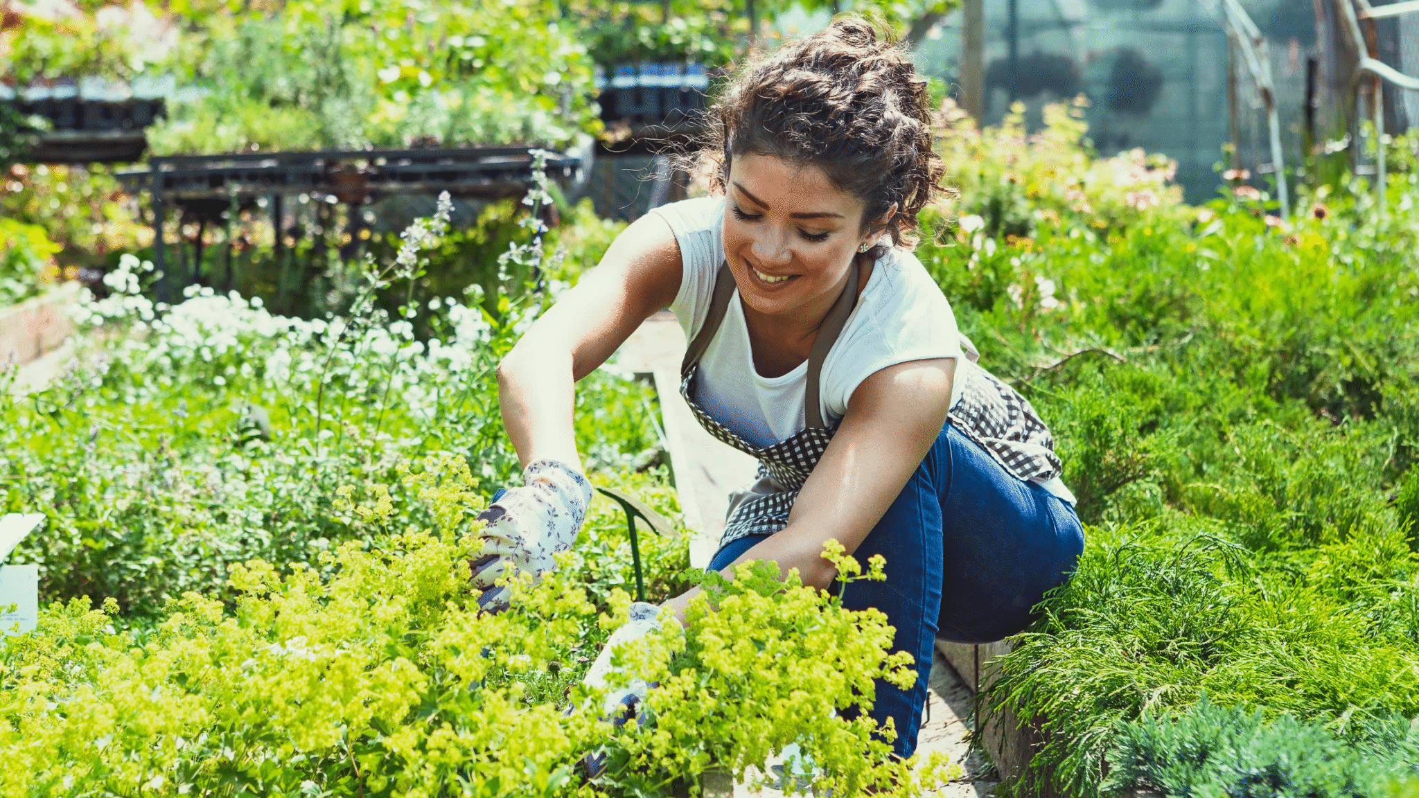 woman in green garden working
