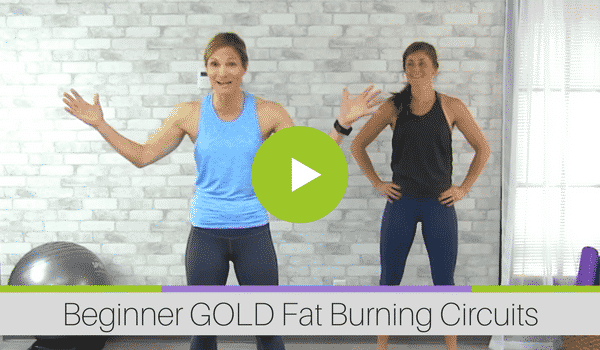 Beginner GOLD Fat Burning Circuits Workout Video