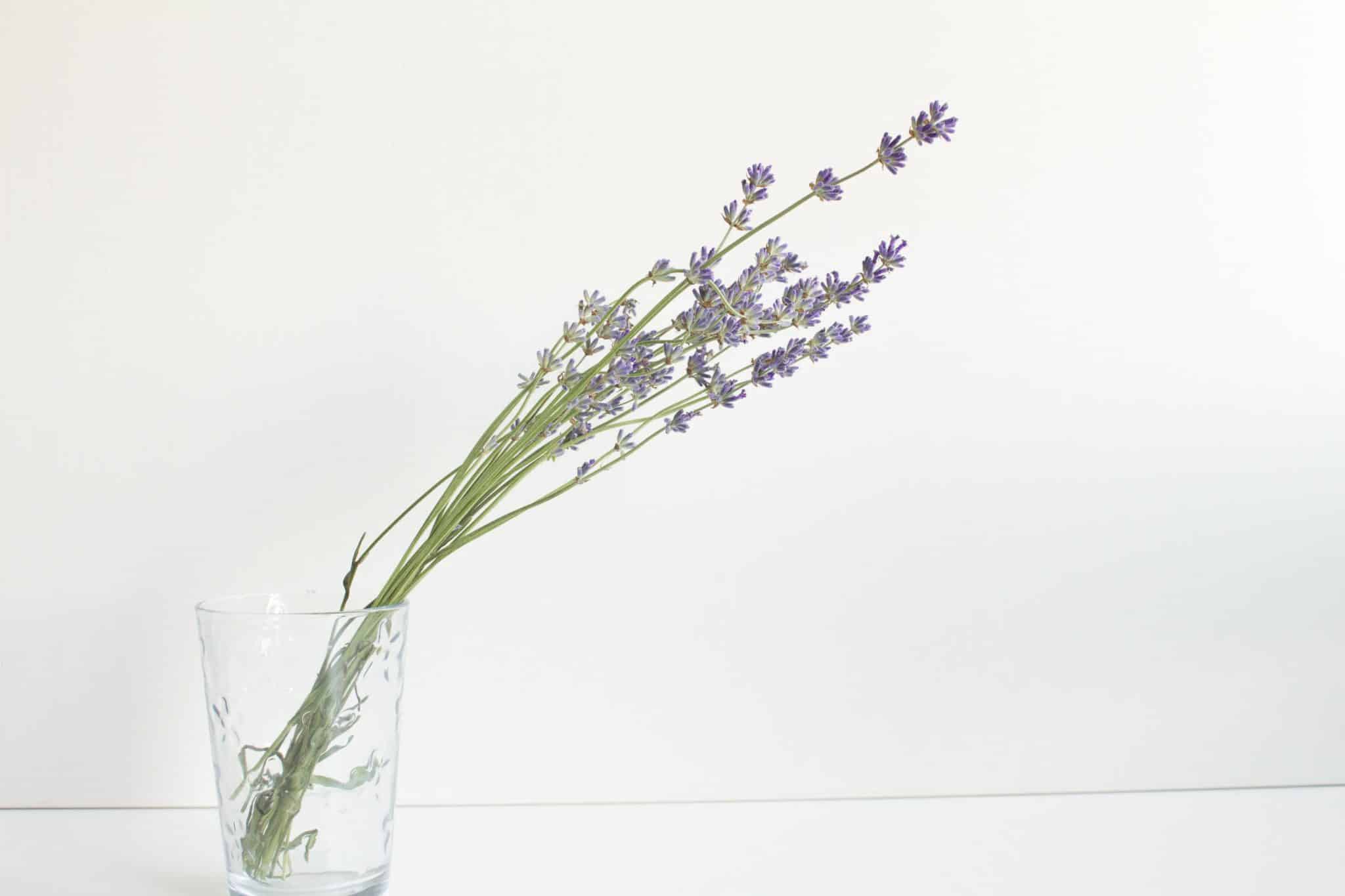 lavender in a glass