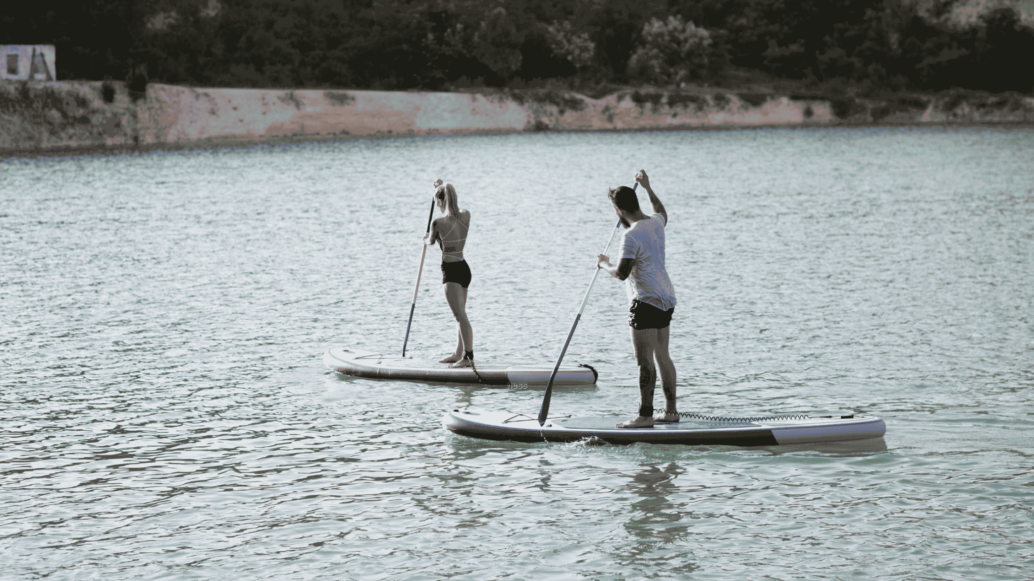 man and woman on standup paddleboards in a lake
