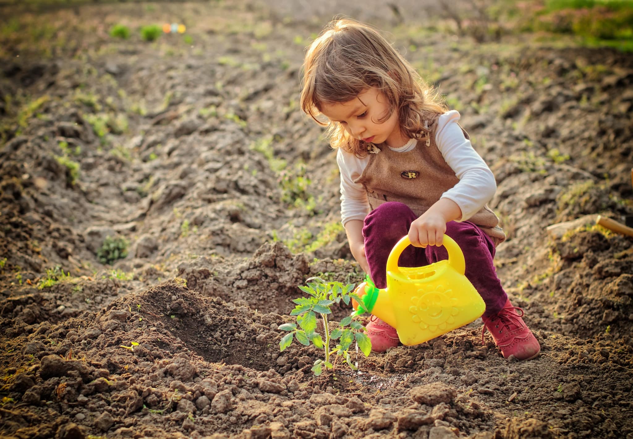 Young girl watering plant in garden