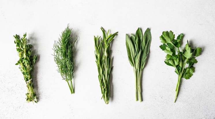 Various herbs on white background for adding to vegetable soup