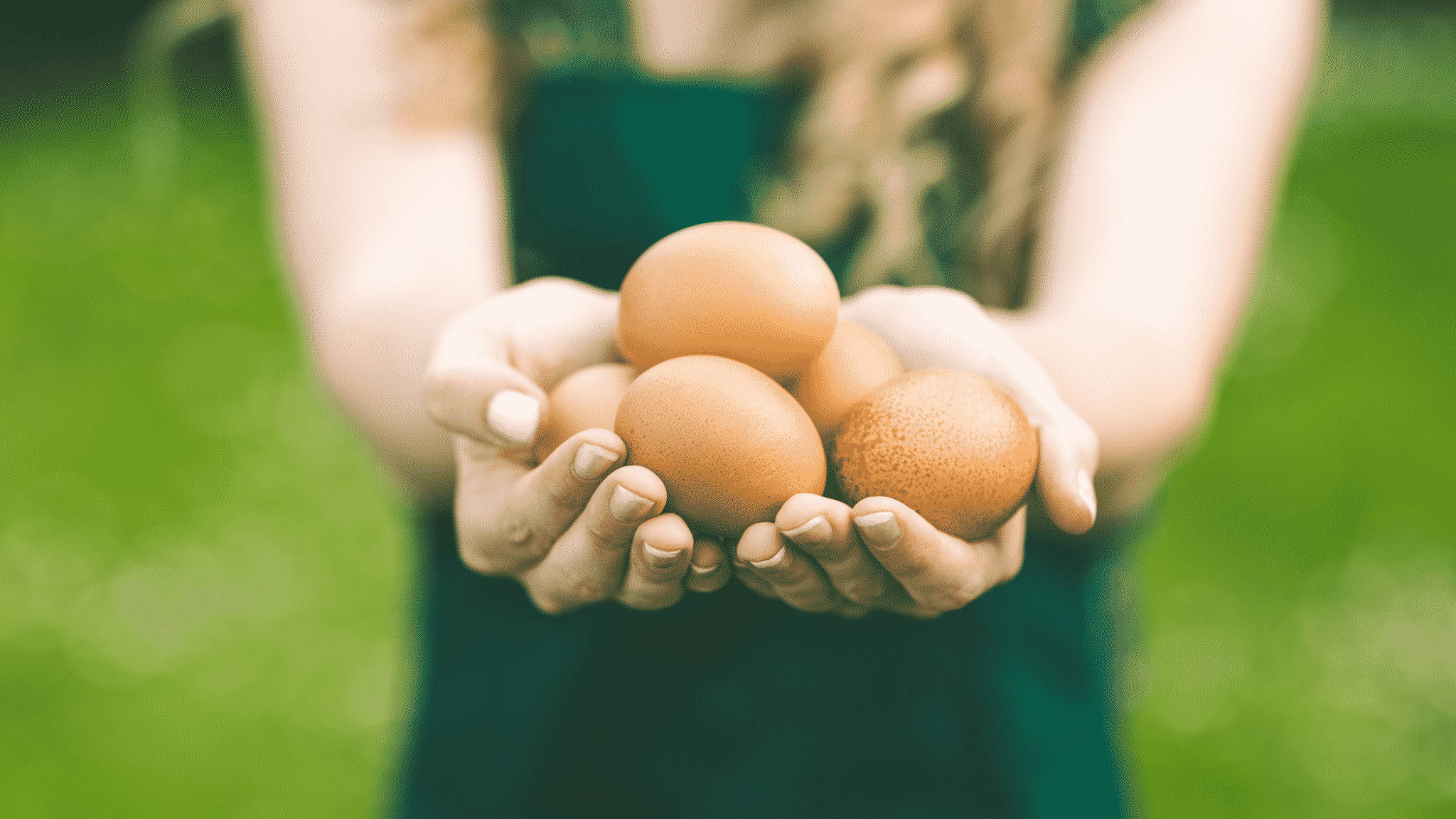 woman holding eggs with both hands