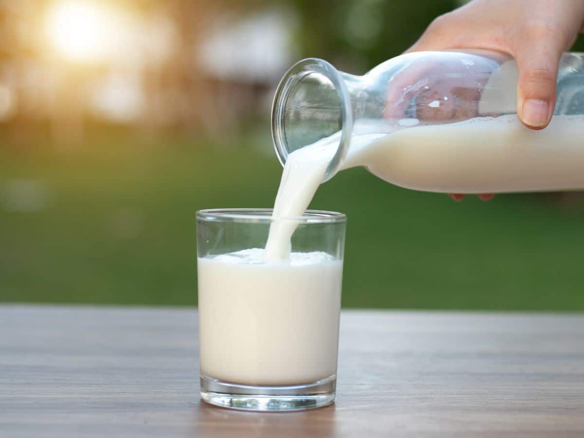 Pouring milk into a glass on a wooden table with grass and sunshine in the background.