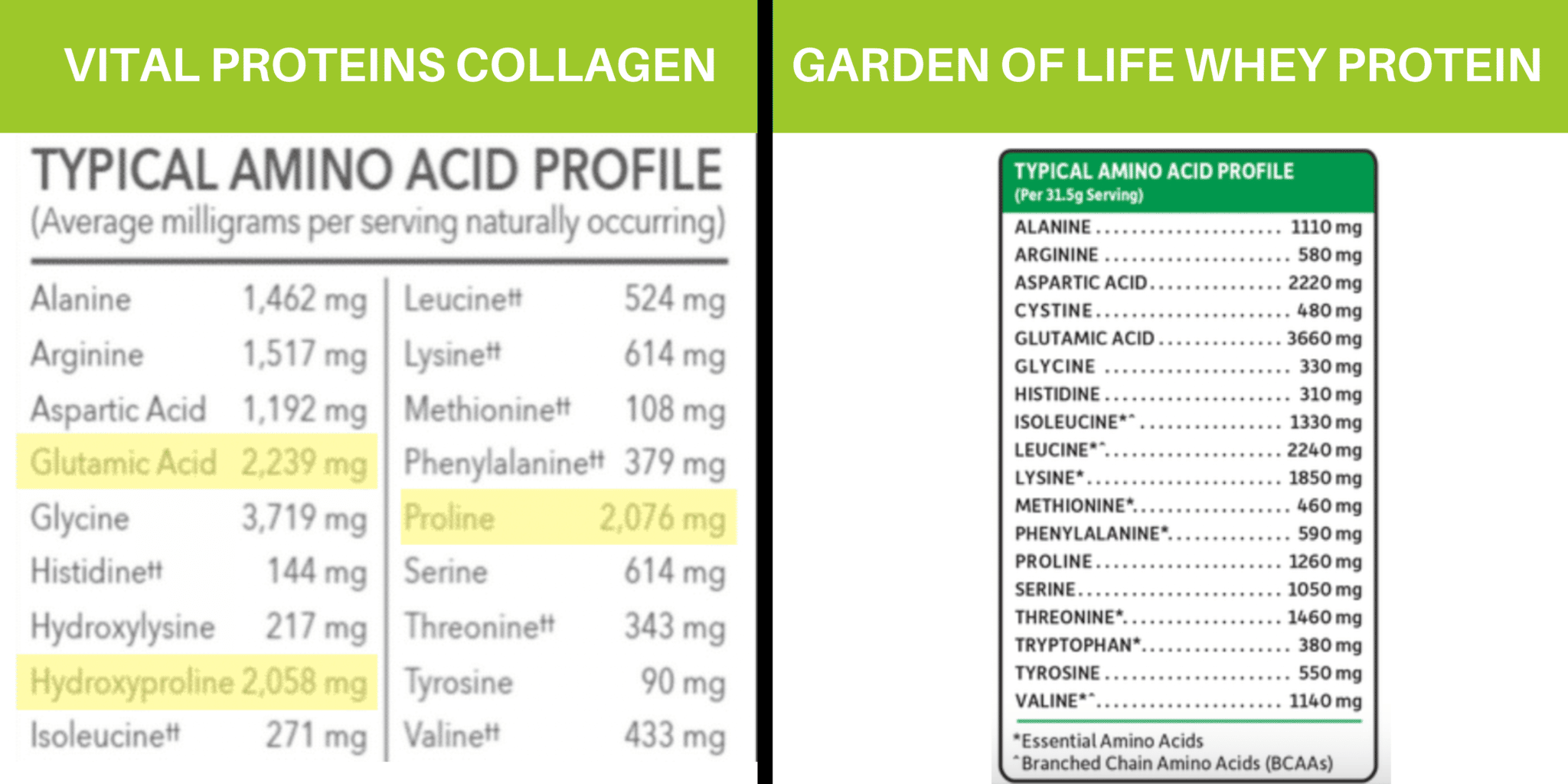 Vital Protein Collagen vs. garden of life whey protein and their amino acid profiles.
