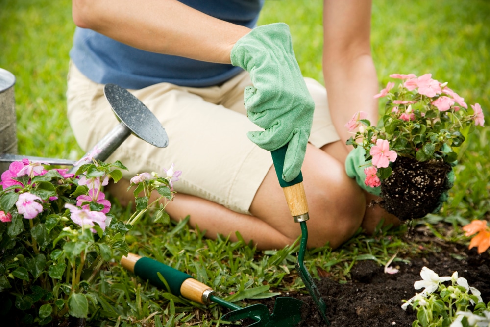A woman gardening with gloves on.