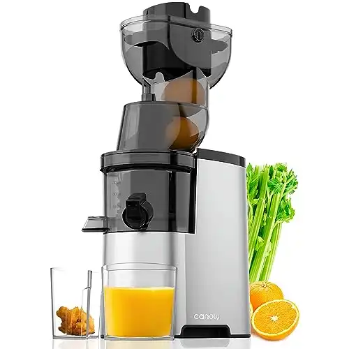 Masticating Juicer, 300W Professional Slow Juicer with 3.5-inch (88mm) Large Feed Chute for Nutrient Fruits and Vegetables