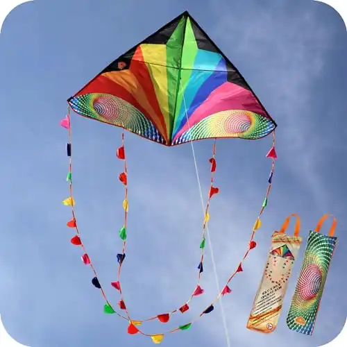 ORGCLDKT Carnival Delta Kite-Spatio-Temporal Tunnel,Kites for Adults,Kites for Kids