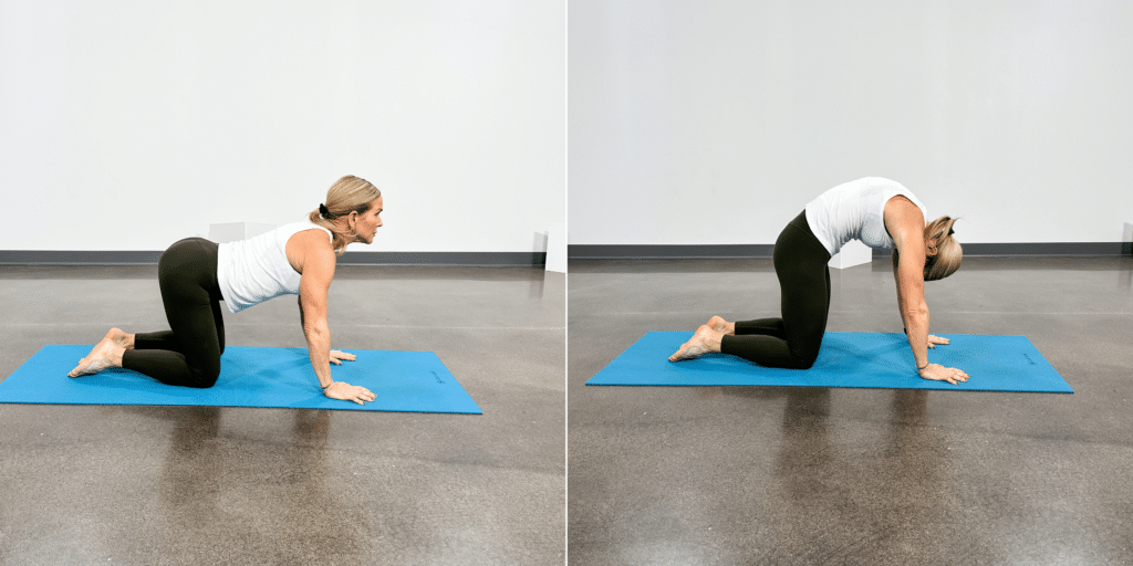 woman doing yoga poses for backmost  pain, feline  cattle  airs  