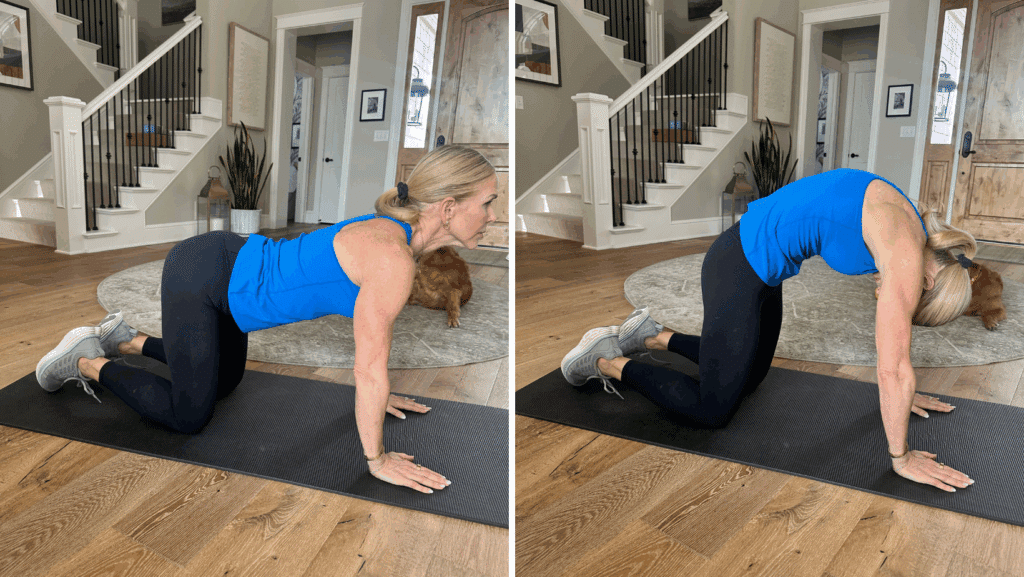 cat cow stretch for kyphosis